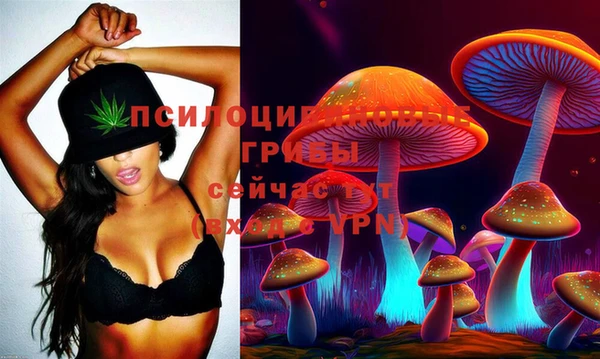 мет Нефтекумск