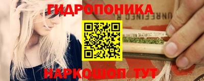 прущие грибы Апшеронск