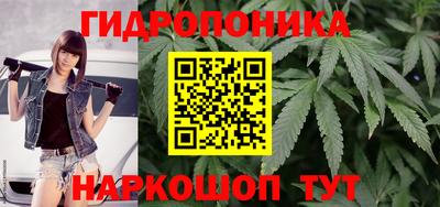 прущие грибы Апшеронск